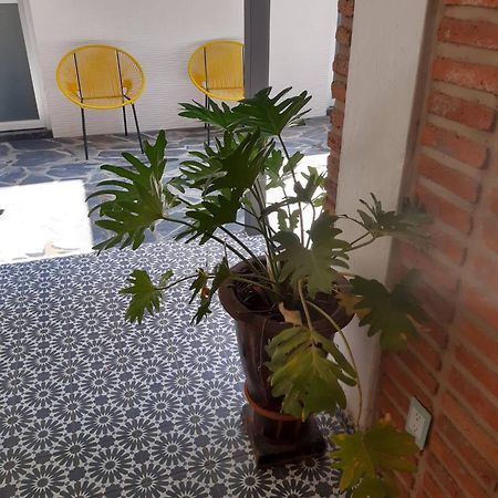 Estudio #5 Casa Fatima, 8 Min Del Centro 1 Persona グアダラハラ エクステリア 写真