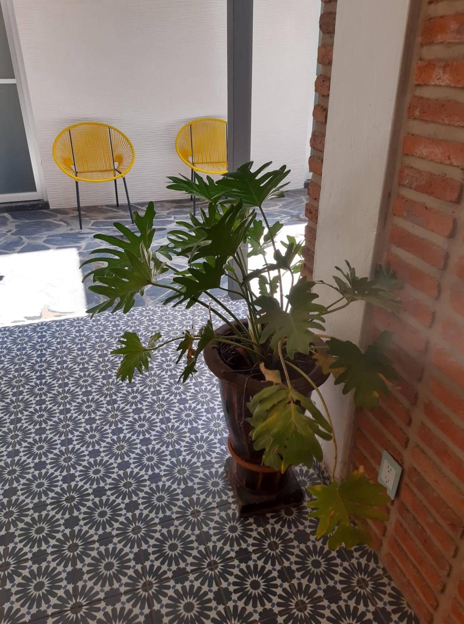 Estudio #5 Casa Fatima, 8 Min Del Centro 1 Persona グアダラハラ エクステリア 写真